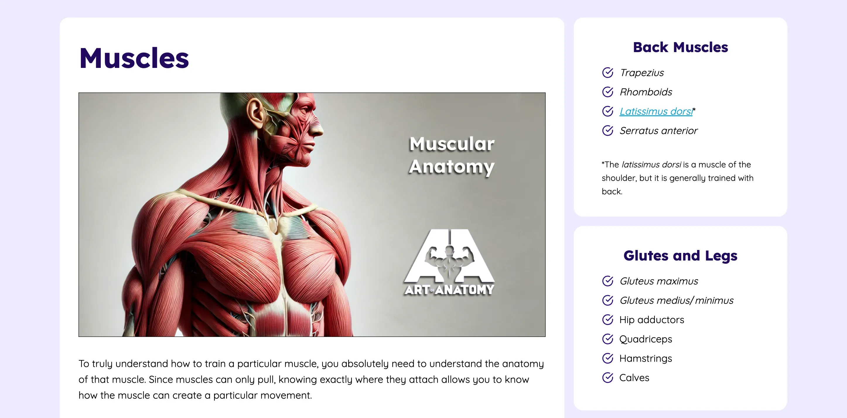 Art of Anatomy