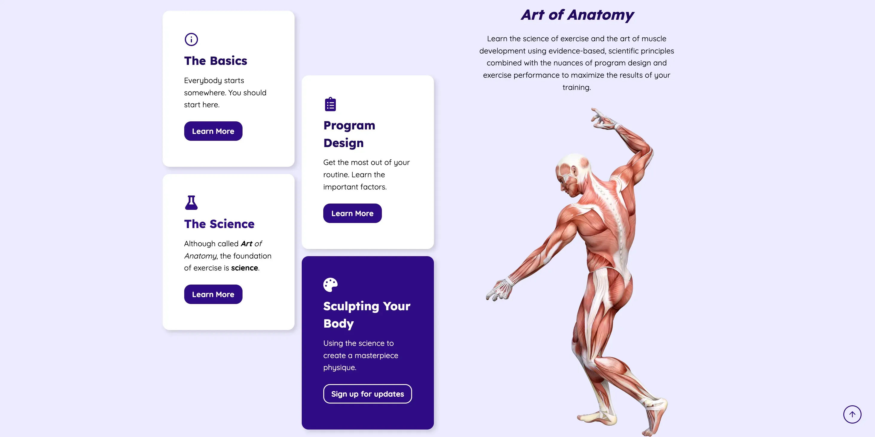 Art of Anatomy