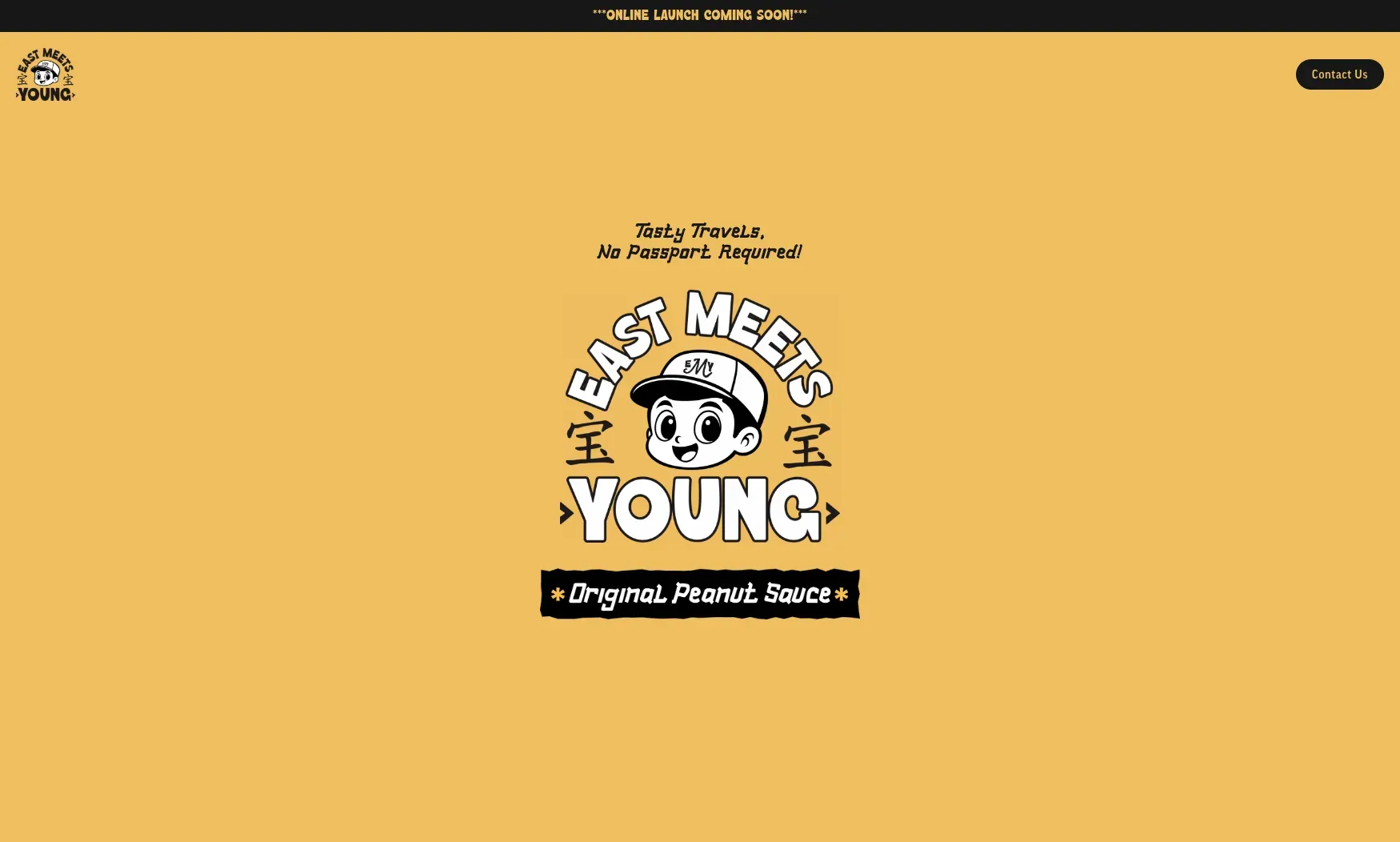 east meets young original peanut sauce